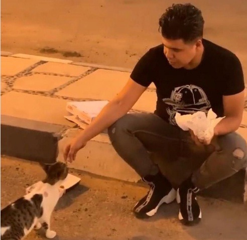 عمر كمال يطعم قطة فى الشارع: ممكن تكون سبب دخولي الجنة