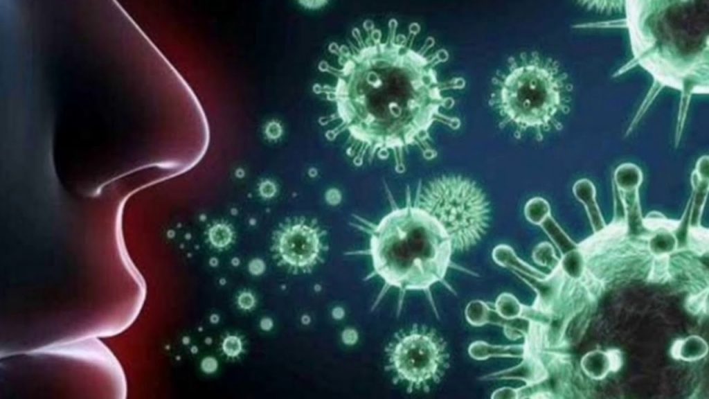 فيروس هيهي متحور من كورونا يظهر في الصين